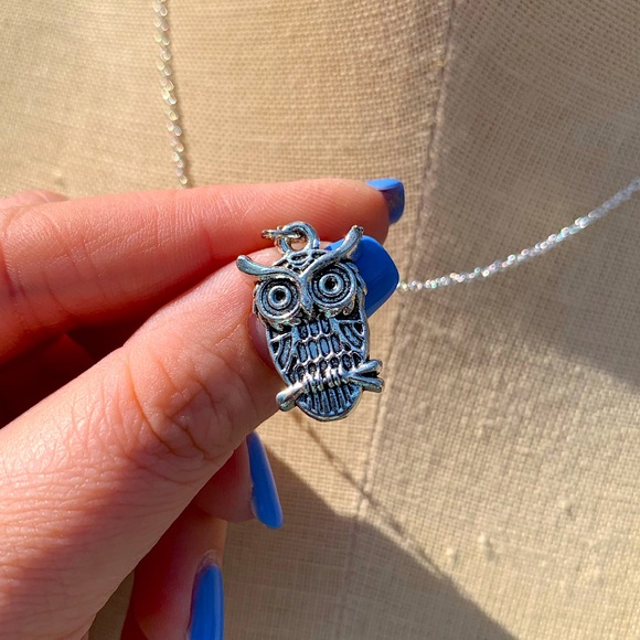 Hand Crafted Jewelry - NWT Sterling Silver Plated Chain & Owl Alloy Metal Charm Necklace